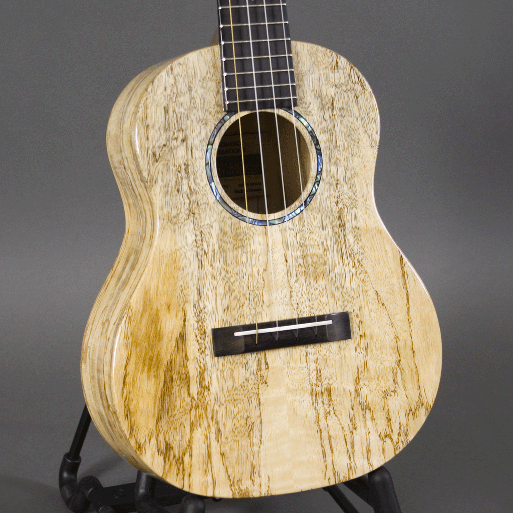 Romero Creations RC-GT-MG – Dusty Strings