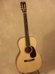Collings 0001 E