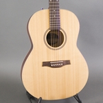Seagull Coastline Folk Cedar