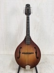 Weber Bitterroot A