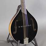 Collings MT Black Top