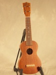 Kiwaya KS-1