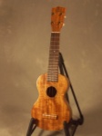 Kiwaya KS-5