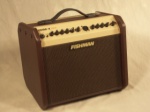 Fishman Loudbox Mini
