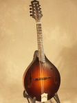 Collings MT