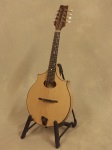 Red Valley AM 2 Point Mandolin