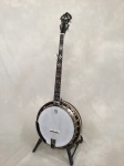 Used Deering Golden Era
