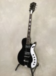 Silvertone Model 1423 Jupiter