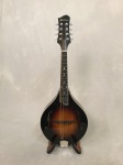 Eastman MD505-CS