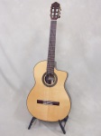 New World Fingerstyle ES