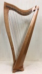 Dusty Strings FH36S Figured Cherry w/Celtic Knot
