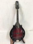 Weber Yellowstone 2 Point