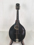 Used Gibson H-2 Mandola