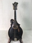 Used Gibson F4