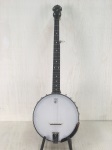 Used Vega Little Wonder Lefty