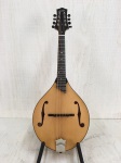 Collings MT