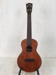 Takumi TT-1M