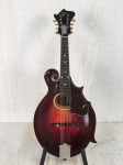Used Gibson F2