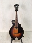 Used Gibson F4