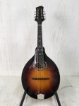 Eastman MD504-CS