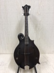 Used Weber Gallatin F