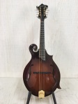 Used Larrivee F