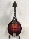 Used Gibson A4