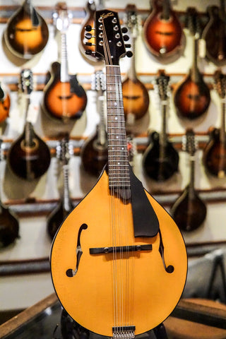 Mandolins