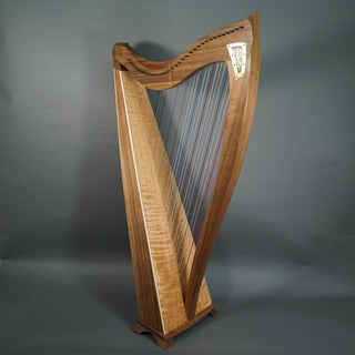 Dusty Strings FH36H Walnut w/Camac levers