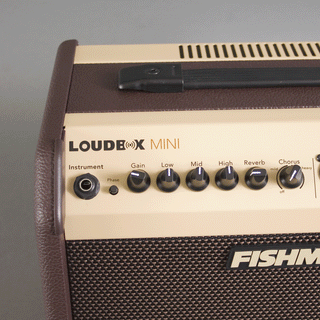 Fishman Loudbox Mini +Bluetooth