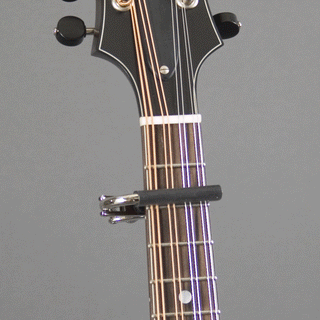 Shubb C5 Banjo Capo