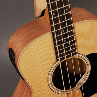 Taylor GS Mini-e Bass