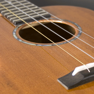 Fremont Soloist Low-G string