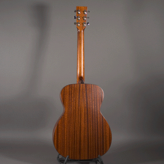 Eastman E1 OM