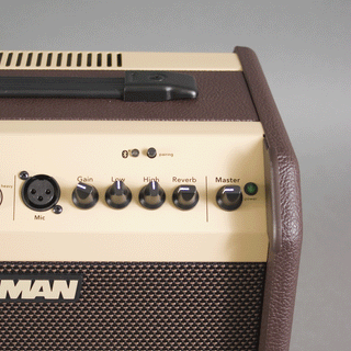 Fishman Loudbox Mini +Bluetooth