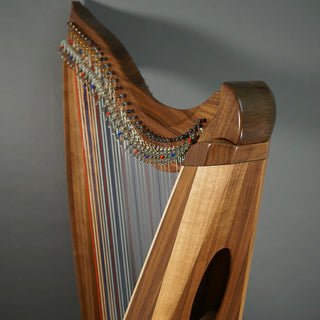 Dusty Strings FH36H Walnut w/Camac levers
