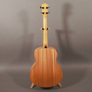 Taylor GS Mini-e Bass