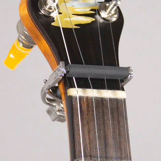 Shubb F5 Fine Tune Banjo Capo