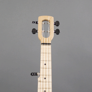 Firefly 5-string Banjo