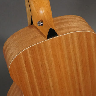 Taylor GS Mini Sapele
