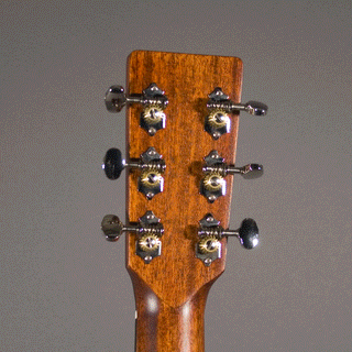 Eastman E1 OM