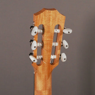 Taylor Academy 12e-N