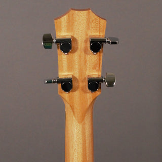 Taylor GS Mini-e Bass