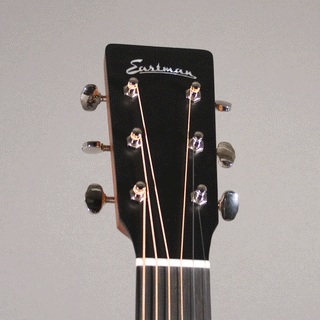 Eastman E1 OM