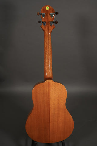 Big Island KT-TR