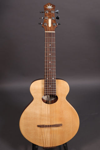 Bright Guitars Bear Cub BC-10 Trail