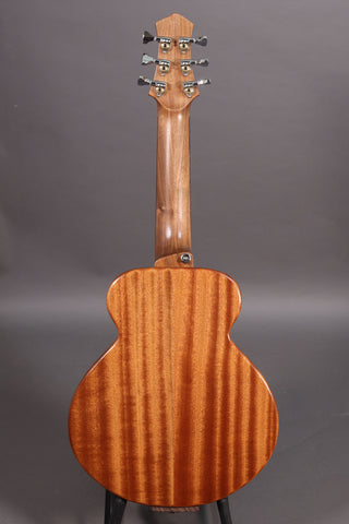 Bright Guitars Bear Cub BC-10 Trail