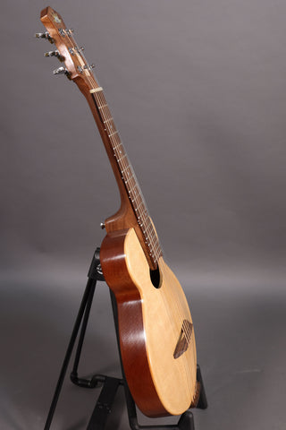 Bright Guitars Bear Cub BC-10 Trail