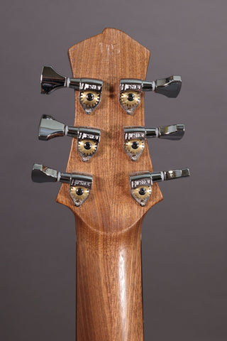 Bright Guitars Bear Cub BC-10 Trail