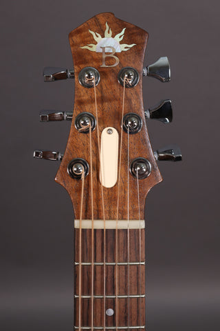 Bright Guitars Bear Cub BC-10 Trail
